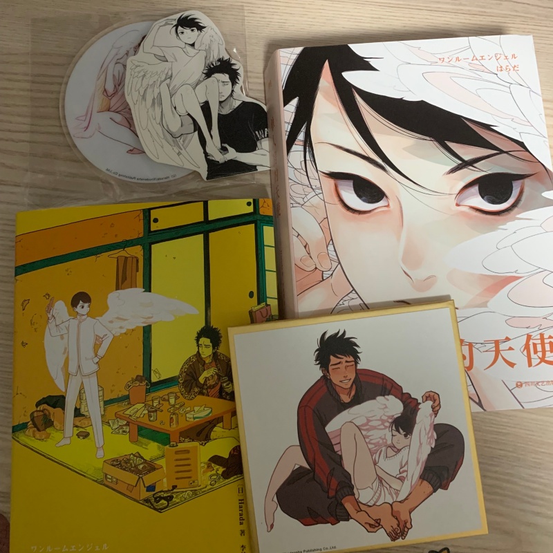 Japoński komiks Angel Original – Japanese Lifestyle Books recenzja i cena